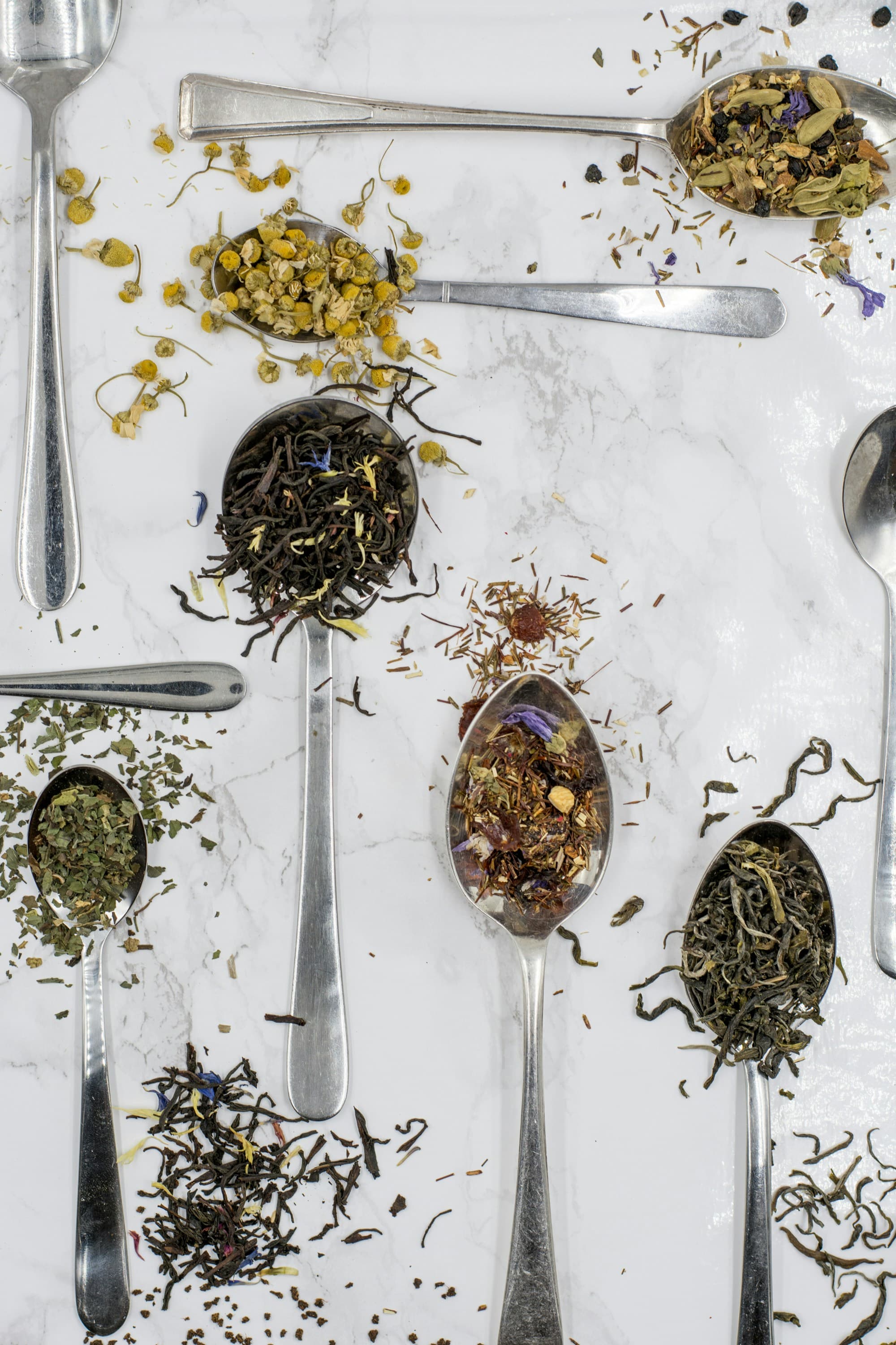 Assorted loose leaf teas on spoons